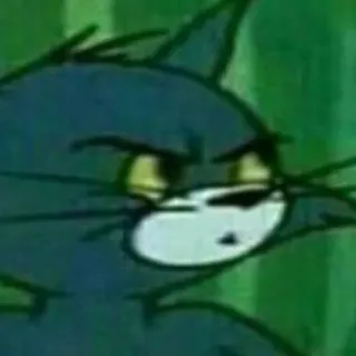 🤨 a2108224 Tom Cat cartone animato, gatto, animale, divertente, meme telegram sticker