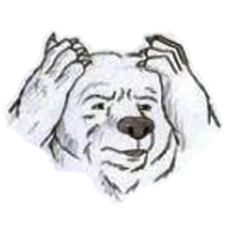 😒 480d198f 곰, 혼란스러움, 질문, 동물, 일러스트, 밈 telegram sticker