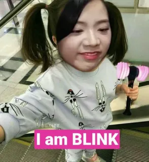😎 acd79414 I am BLINK kedipan, kpop, blackpink, penggemar telegram sticker