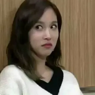 TWICE MEME @GEMESNlH whatsapp stickers