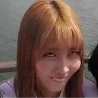 🐶 c7f7005b phụ nữ, người, meme, gương mặt, biểu cảm telegram sticker