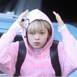 😬 e6239180 người, áo hoodie, màu hồng, ba lô telegram sticker