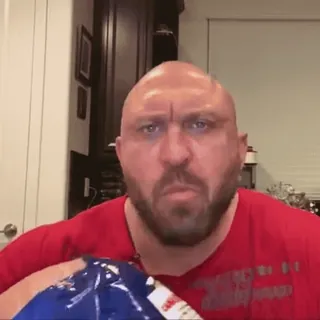 🍟 98152ba2 whatsapp sticker