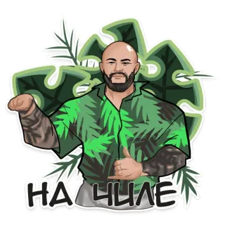 🥳 84d30609 НА ЧИЛЕ uomo, camicia hawaiana, calvo, rilassato, russo, cirillico telegram sticker