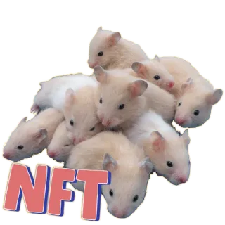 💩 21e10ab0 NFT hamster, NFT, binatang, imut, seni digital telegram sticker