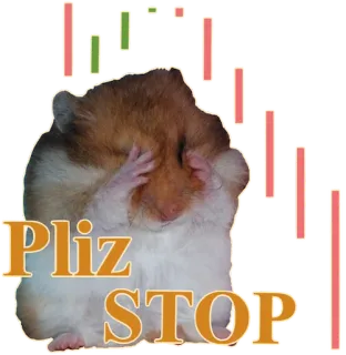 😢 3f150991 Pliz STOP hamster, meme, binatang, berhenti, sedih, memohon, permintaan telegram sticker
