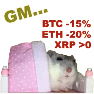 ☀️ 52027d8d GM... BTC -15% ETH -20% XRP >0 hamster, crypto, cryptocurrency, BTC, ETH, XRP, meme telegram sticker