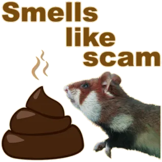 💩 75ac58f7 Smells like scam penipuan, bau, hamster, hewan, lucu, meme telegram sticker