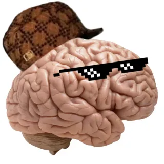 👥memes telegram stickers