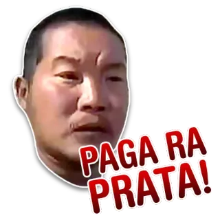 🎎 48707df5 PAGA-RA PRATA! telegram sticker