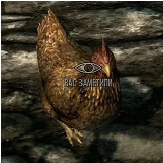 🐔 c9534033 ВАС ЗАМЕТИЛИ chicken, animal, detected, skyrim, eye, video game whatsapp sticker