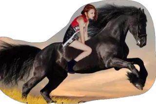 🐎 1a9db90e cavallo, equitazione, ragazza, animale, equestre, natura telegram sticker