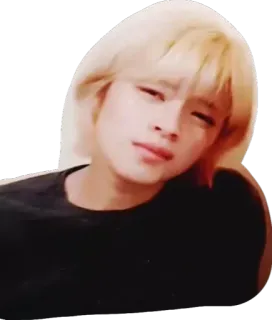 🙎 95e67f79 telegram sticker