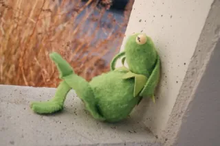 Ranita Gustavo telegram stickers