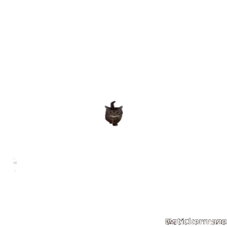 😾 7055633b telegram sticker