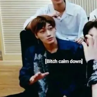 ❗️ ed3ed5cb Bitch calm down 攻撃的, 落ち着いて, スラング, ミーム, ネットスラング telegram sticker