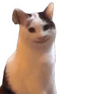 🙂 efbb1508 Katze, Tier, Haustier, Meme telegram sticker