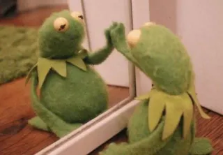 🤨 067fd757 Kermit Kermit the Frog, Muppets, reflection, frog, puppet, mirror, emotional telegram sticker