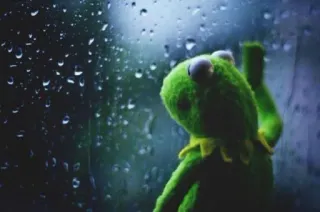 😪 93dfa4ea Kermit Kermit the Frog, sad, rain, window, muppet, depressed, melancholy telegram sticker