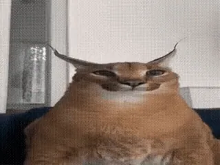 ЩЫШЬ telegram stickers