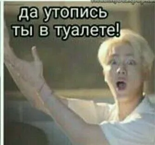 🌟 c0747dea Да утопись ты в туалете! Meme, Russisch, Text, Ausdruck, Toilette telegram sticker