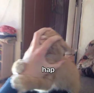 😡 d6f364c3 hap telegram sticker