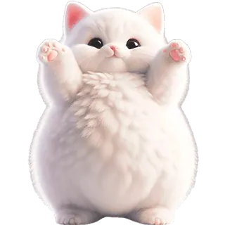 🤗 68516baa kot, kociak, słodki, puszysty, biały, zwierzę telegram sticker