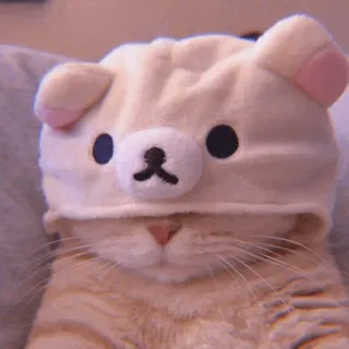 𝖬𝖤𝖮𝖶 𓂃𖦹 '@solodancing whatsapp stickers