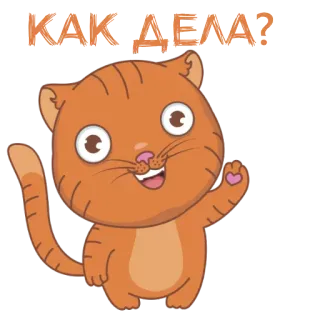 😃 090fadd5 КАК ДЕЛА? gatto, arancione, saluto, russo, cartone animato, animale telegram sticker
