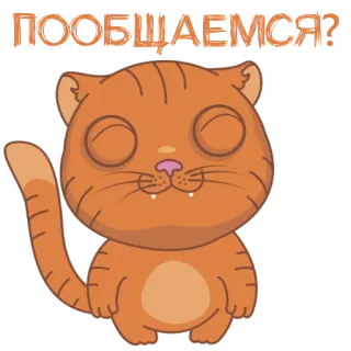 🙃 91287105 ПООБЩАЕМСЯ? gatto, animale, arancione, carino, russo, testo, domanda telegram sticker