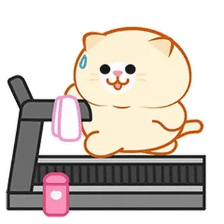 ⭐ 073ccfd3 cat, treadmill, exercise, fitness, cute, sweat whatsapp sticker
