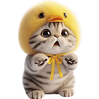 😯 1a9bca7b kucing, anak kucing, imut, hewan, peliharaan, bebek, topi, kuning telegram sticker