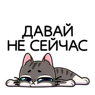 😴 919779c8 ДАВАЙ НЕ СЕЙЧАС кот, русский, стикер, ленивый, настроение, прокрастинация whatsapp sticker
