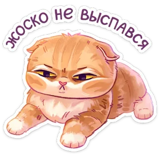 😴 2398956c ЖОСКО НЕ ВЫСПАВСЯ แมว, ง่วง, น่ารัก, การ์ตูน, สัตว์, สีหน้า telegram sticker