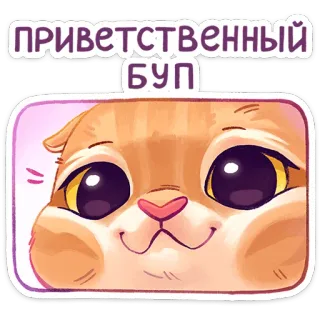 ☺️ 484af771 ПРИВЕТСТВЕННЫЙ БУП แมว, ทักทาย, น่ารัก, การ์ตูน, สัตว์ telegram sticker