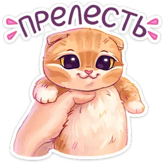 ☺️ 5b2e4ff8 прелесть แมว, น่ารัก, คาวาอิ, ลูกแมว, สัตว์เลี้ยง, รัสเซีย, น่ารัก telegram sticker