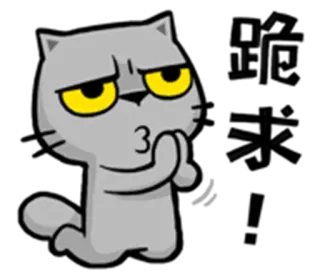 🙏 46f10396 否来 cat, animal, cute, emoji, sticker, cartoon telegram sticker