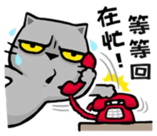 📞 4f6e50f6 cat, telephone, cartoon, stress, frustration, communication telegram sticker