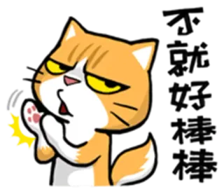 😑 6b2fbdfa cat, animal, orange, meme, expression, cartoon telegram sticker