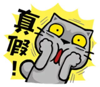 😱 8f93ef98 真假!! cat, shocked, surprise, chinese, expression, cartoon telegram sticker