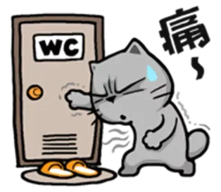 🚾 a13be766 WC cat, bathroom, toilet, knocking, urgent telegram sticker