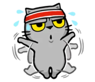 💃 aa8a6a24 cat, exercising, fitness, sweating, cartoon, cute, workout, animal telegram sticker