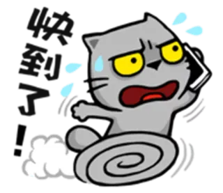 🏃 efd1cf0b 啊哦 惨了 cat, phone call, urgent, running, shocked, sweat telegram sticker