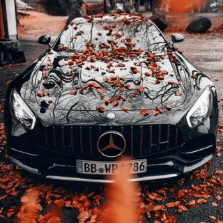 ๐ 3599723d car, autumn, leaves, mercedes, black telegram sticker