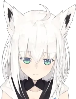 🌽 2907b625 Fubuki Shirakami Anime fille, Fille chat, Fille renard, Cheveux blancs, Mignon, Youtubeuse Virtuelle whatsapp sticker