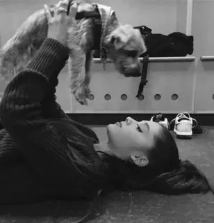 ⇶ꤵ↭  ⷷ   ⃟⃟⃤ƦᏟ𖦦 ꪳ  ⷶℕ↭ ⷶၛ⇡ telegram stickers