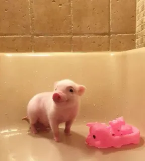 💘 3dc016ce varken, biggetje, bad, badkuip, dier, schattig, speelgoed telegram sticker
