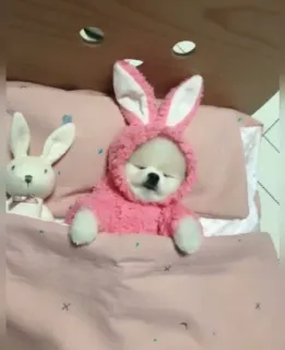 💘 bcc0e3af hond, konijn, slaap, schattig, roze telegram sticker