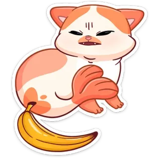 🍌 172e25a6 gatto, banana, divertente, animale, adesivo, carino, kawaii whatsapp sticker