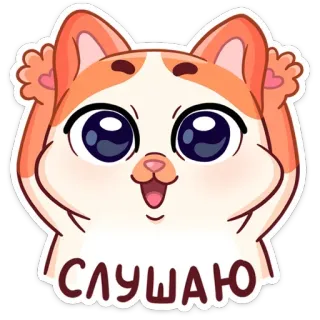 👂 3654e91d СЛУШАЮ gatto, carino, ascolto, divertente, adesivo, animale whatsapp sticker